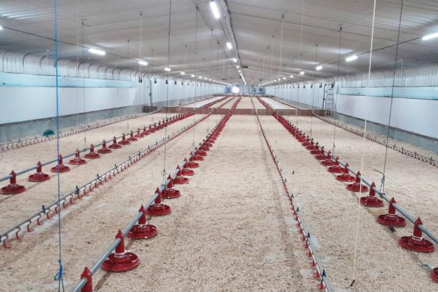 Modern broiler project in Saudi Arabia